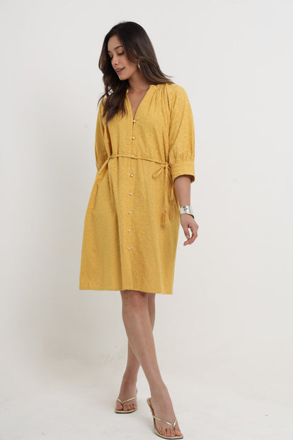 KEYA OCHRE EMBROIDERED DRESS Mala Singh